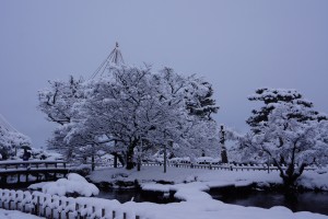 雁行橋と旭桜