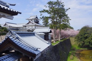 菱櫓と内堀桜並木(河北門二の門から)