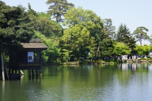 霞が池の新緑