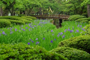 花見橋下流