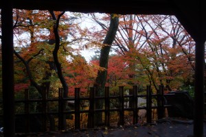山崎山の頂上からの紅葉