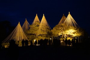 ご存じ・・・唐崎の松の雪吊りの正面