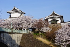 紺屋坂から見た石川門。 ここからの桜風景も絵になりそう。