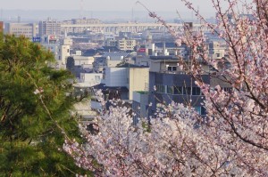 琴柱燈籠傍の眺望台より