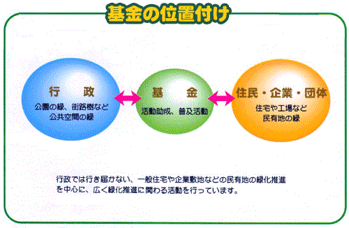 基金の位置付け 行政では行き届かない、一般住宅や企業敷地など民有地の緑化推進を中心に、広く緑化推進に関わる活動をおこなっています