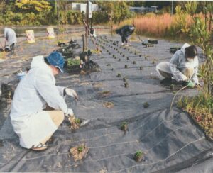 作業中の様子